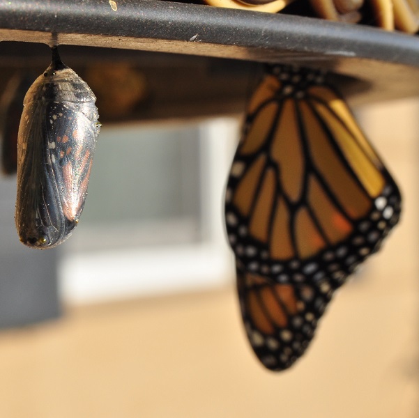 our solutions - transformation